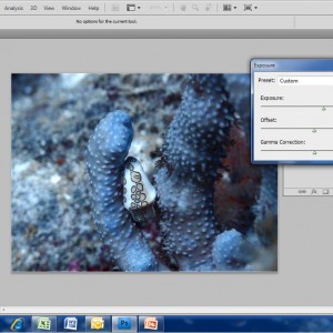8. Basic Edit using Adobe Photoshop CS4