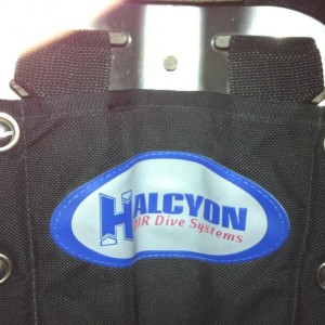 Halcyon BP w/ Harness