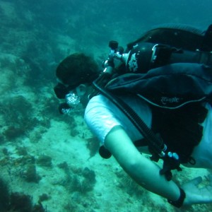 Cruizin the Reefs of Palm Beach