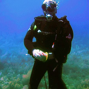 Conservation Diving with REEF Conservation International