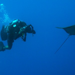 Cayman September 2011- DNS Diving