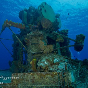 Cayman Aggressor Trip 2011
