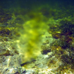 Sulfer Vent - Grand Cayman