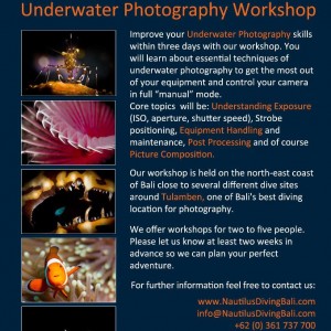 Underwater phiotography workshop