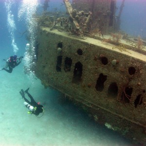 Diving In Roatan-