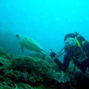 Diving at Padang Bai, Bali, Indonesia