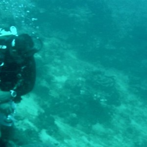 Visiting diver from Cebu Dive Club