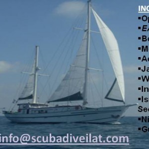 Scuba Diving Courses & Chartered Yacht