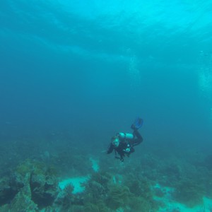 Drift dive Aruba 2012
