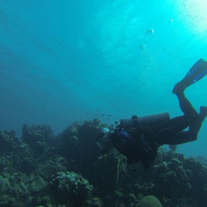 Drift Dive Aruiba 2012