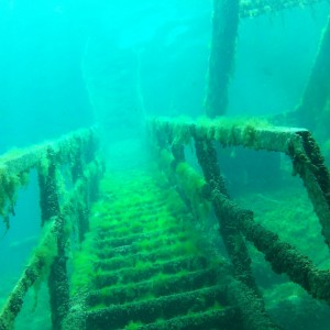 Diving Dutch stairs