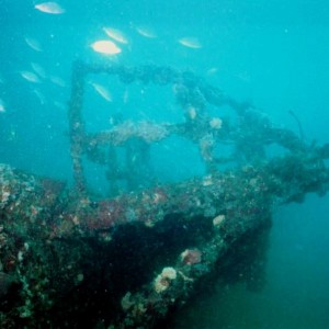 Ancient-Mariner Wreck