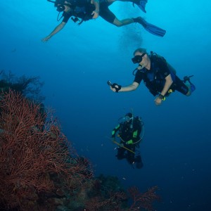First Lead as a DiveMaster