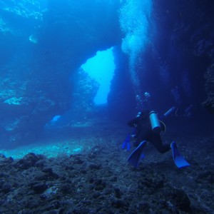 Diving in Maui