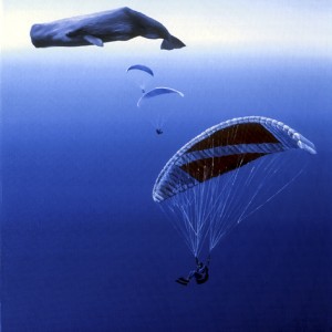 CACHALOT - Sperm Whale - by Pascal