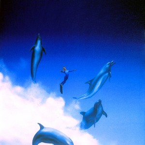 Capering with the dolphins, by Pascal