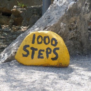 1000_steps