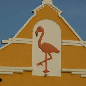 flamingo_house
