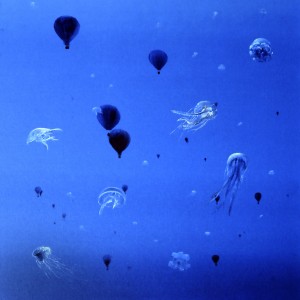 CINQ MEDUSES EN BALLON, - Five jellyfish in a balloon  -  by Pascal