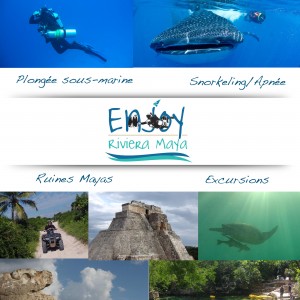 enjoy riviera maya tours
