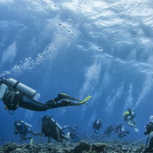 Divers with reef hooks
