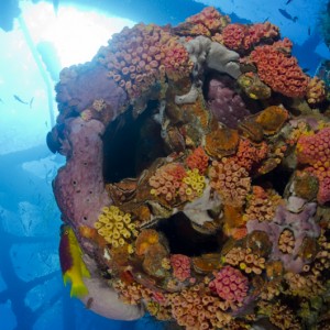 Texas Artificial Reefs