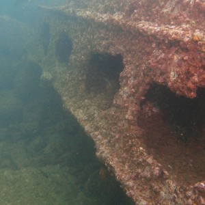 wreck diving in HK