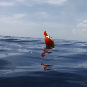 Snorkelbuoy® - easily visible on the surface of the water