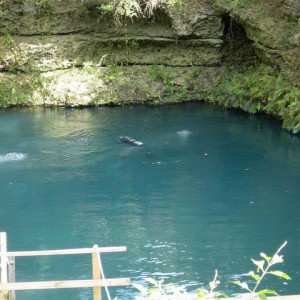 Blue Grotto, FL