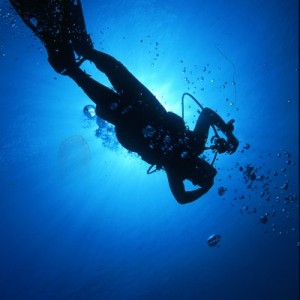 Diver...