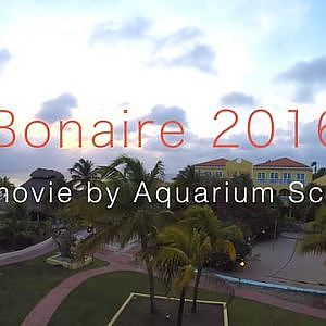 BONAIRE 2016 - An Aquarium Scuba Expedition on Vimeo