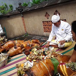 Suckling pig is commonly served very special celebrations in Balinese culture