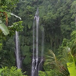 One of Bali's many waterfalls cascading in lush green forests