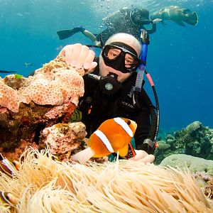 Finding Nemo - Great Barrier Reef