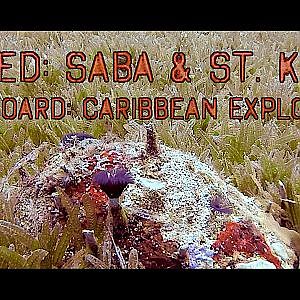 Saba & St. Kitts - Caribbean Explorer II