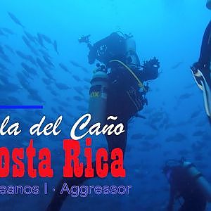Isla del Cano - Costa Rica Aggressor