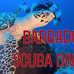 Barbados Scuba Diving - GoPro Hero 6 Testing