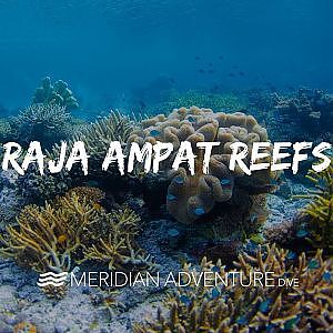 Raja Ampat reefs! - YouTube