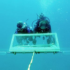 Dive sled with communications to boat