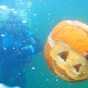 Underwater Pumpkin Carving Competition