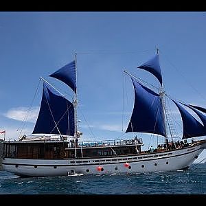 Diving Indonesia - Raja Ampat and Triton Bay - Liveaboard Samambaia Part II