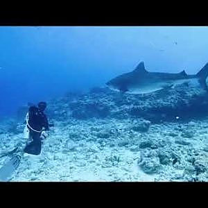Scuba Diving Holiday Maldives | Southern Atoll Maldives Dive - YouTube