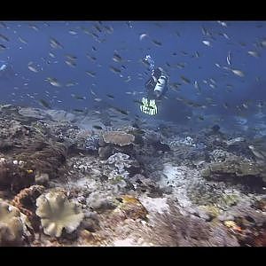 Gentle Drift at CrossOver - Central Raja Ampat - Indonesia - August 2016