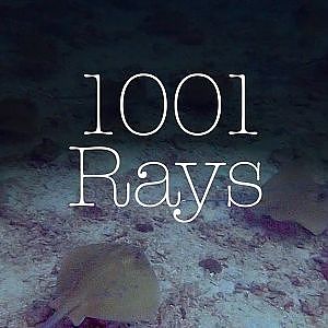 1001 Rays - RIchelieu Rock - Thailand【千夜一夜エイ物語】リチュリューロック - 2020