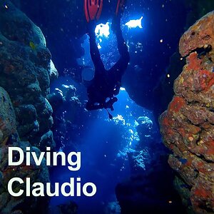 Red Sea Scuba Diving: Shaab Claudio