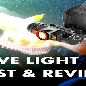 Night Diving Hawaii, Orca Torch TD01 Diving Light- Test and Review.