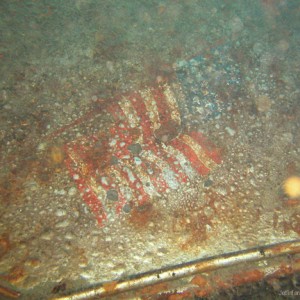 Flag on America's Engine
