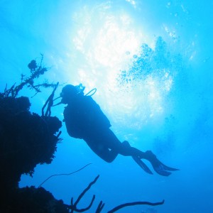 Wreck Diver in Cuba