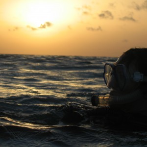 sunset after dive