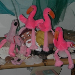 Moonie and the Flamingos in Paradise
